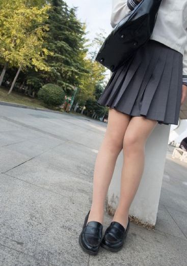 苏家有女1v5苏桐