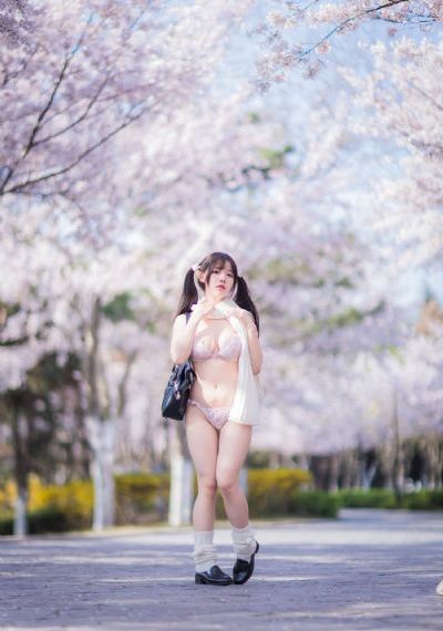 侦察英雄电视剧
